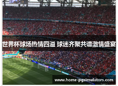 世界杯球场热情四溢 球迷齐聚共谱激情盛宴