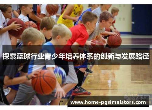 探索篮球行业青少年培养体系的创新与发展路径