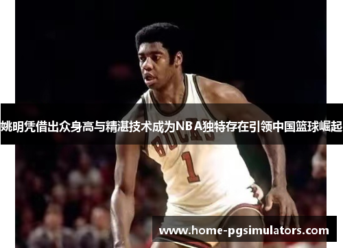 姚明凭借出众身高与精湛技术成为NBA独特存在引领中国篮球崛起
