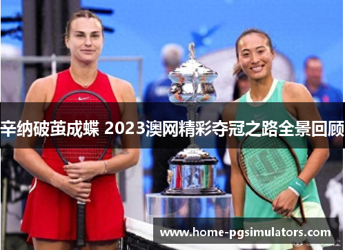 辛纳破茧成蝶 2023澳网精彩夺冠之路全景回顾