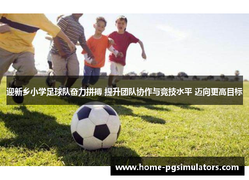 迎新乡小学足球队奋力拼搏 提升团队协作与竞技水平 迈向更高目标