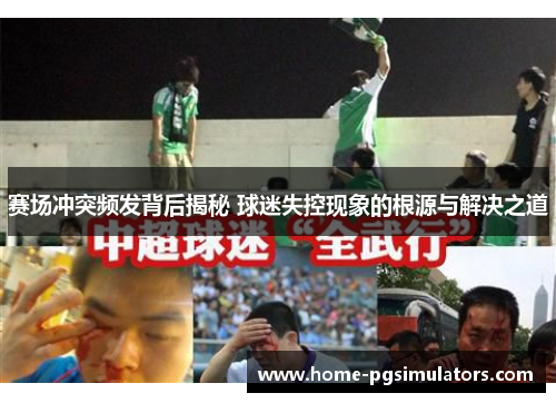赛场冲突频发背后揭秘 球迷失控现象的根源与解决之道