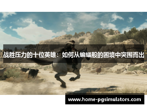 战胜压力的十位英雄：如何从蝙蝠般的困境中突围而出