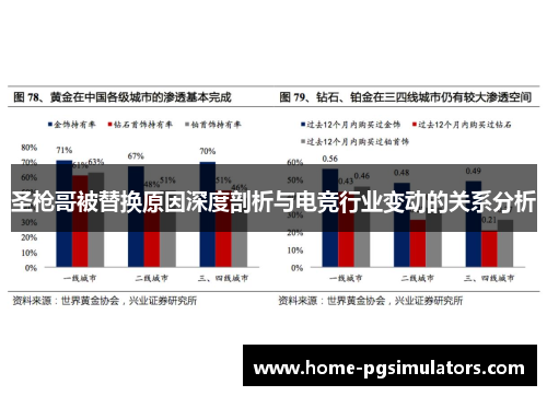 圣枪哥被替换原因深度剖析与电竞行业变动的关系分析